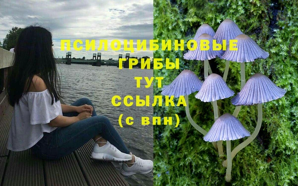 эйфоретик Балахна