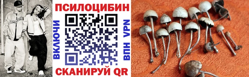 Псилоцибиновые грибы Cubensis  хочу   Вязники 
